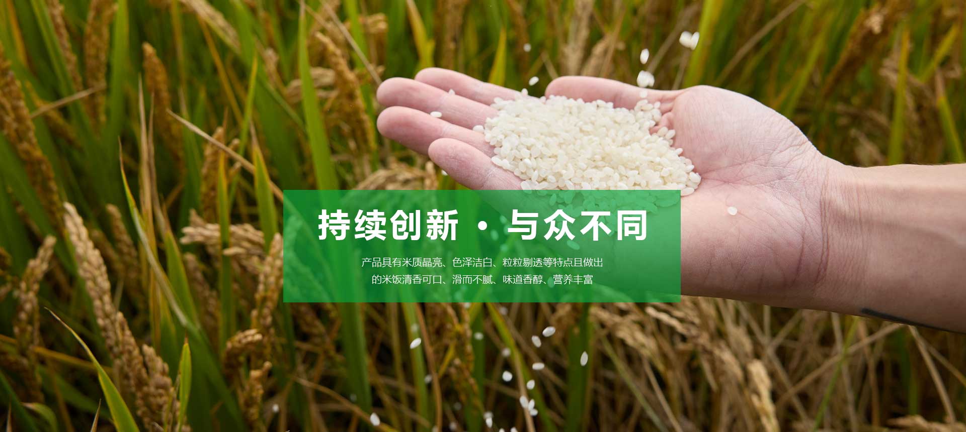 盤錦鑫豐米業有限公司